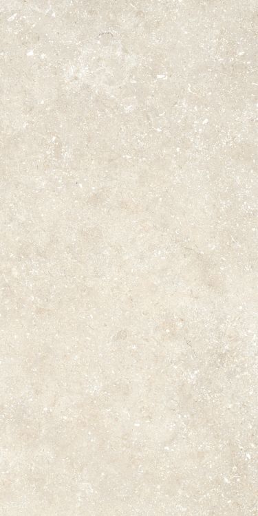 Untamed Wander Warm 12 x 24